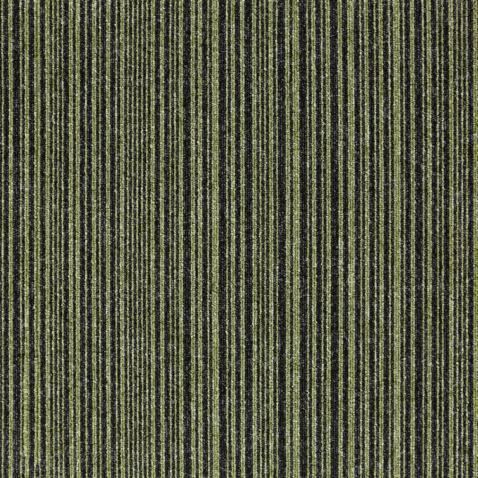21911 green stripe