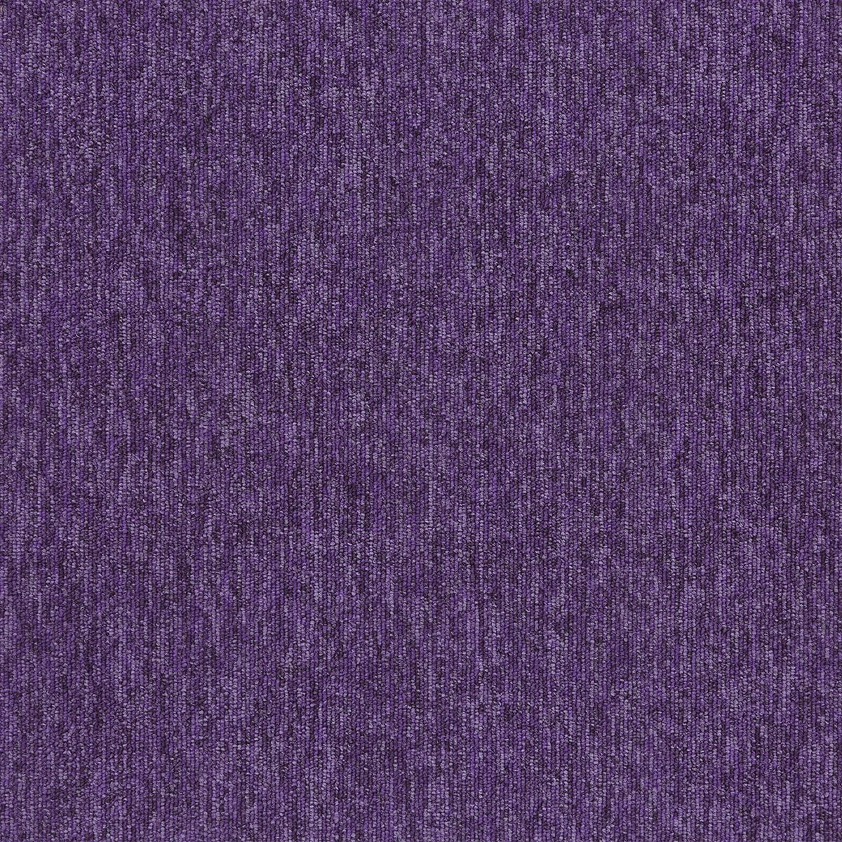 20269 purple sky
