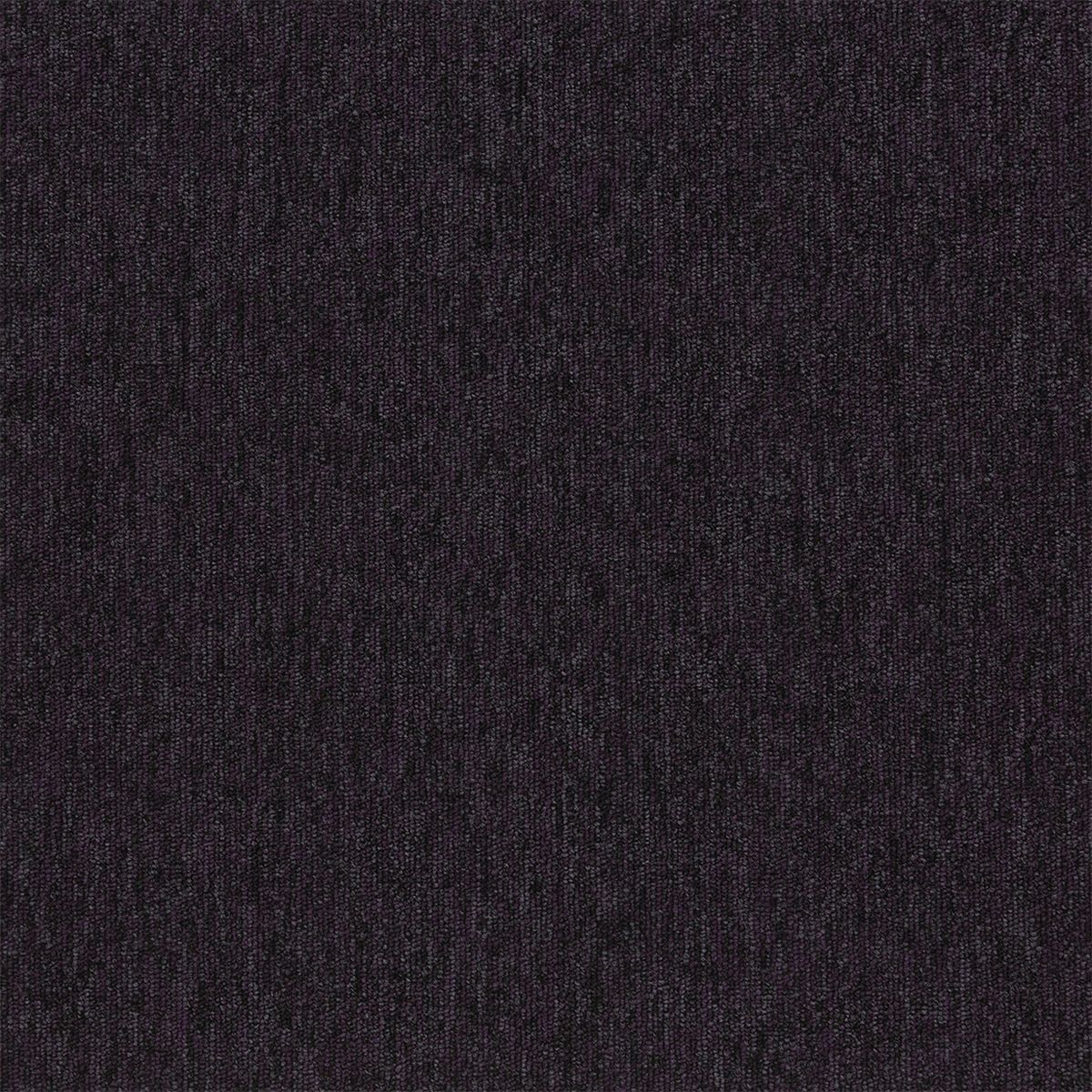 20270 pinta purple