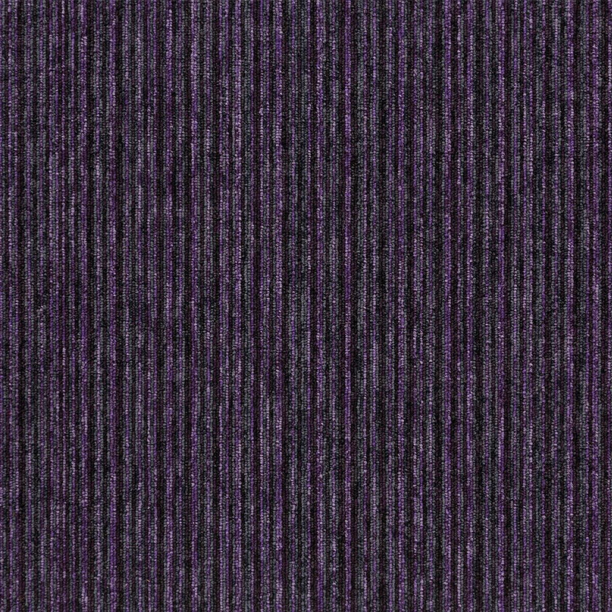 multiline 20712 cayman purple